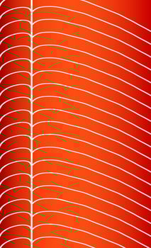 Salmon fillet texture, fish pattern. vector