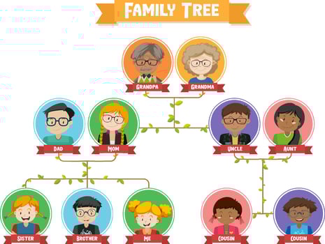Diagram showing three generation family tree vector