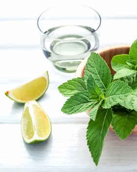 Mojito ingredients on wood photo