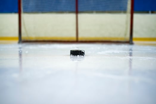 Hockey puck in front of the gate photo