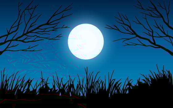 Tree Branch in the Moonlight vector