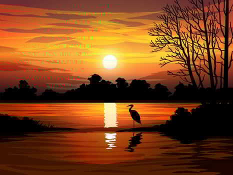 Beautiful Forest Sunset Scene with Lake vector