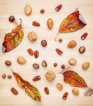 Dried leaves and nuts on wood photo