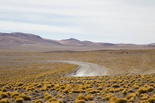 Laguna Colorada in Bolivia photo