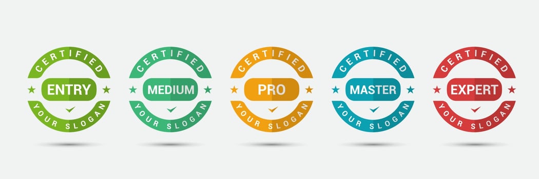 Logo badge for standard certified training criteria company. Business certification label design vector template.