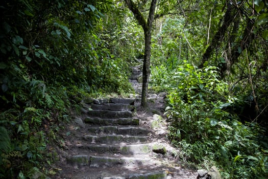 Machu Picchu in Peru photo