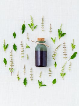 Bottle and fresh herbs photo