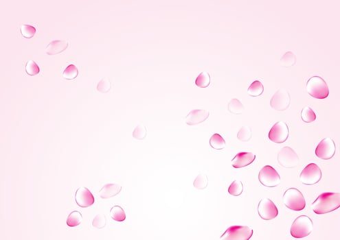 pink white background rose petals are falling in the air for theme beauty and cosmetics or love romantic vector design