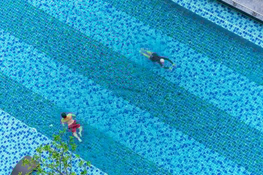 Aerial top view of swimmers in the pool photo