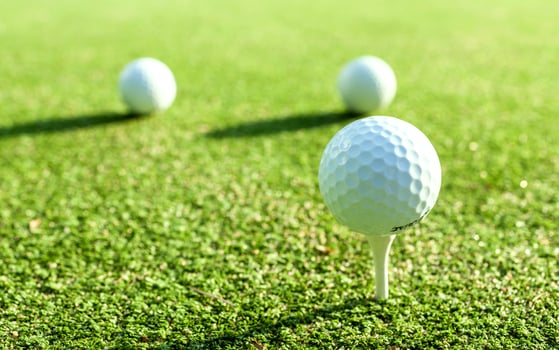 Golf balls on tees photo