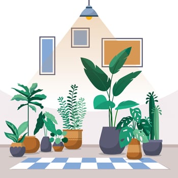 Tropical Houseplant Green Decorative Plant Interior House Illustration vector