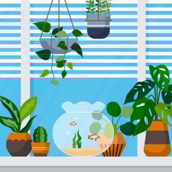 Tropical Houseplant Green Decorative Plant Window House Illustration vector