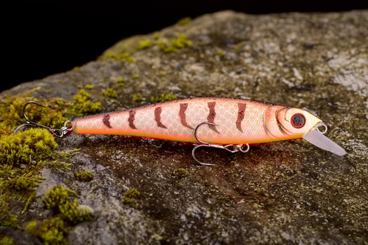 Fishing lure wobbler on a wet stone with moss photo