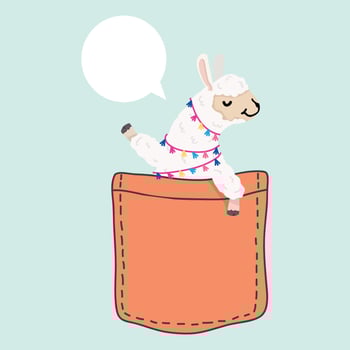 Cute llama alpaca in the pocket vector