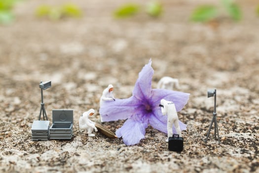 Miniature police and detective finding proof from a flower at a crime scene photo