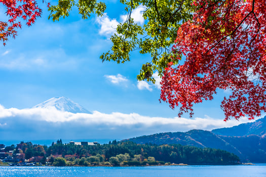 Mt. Fuji in Yamanashi, Japan photo
