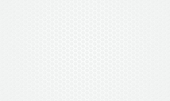 Abstract white gray Steel cage texture background vector