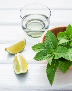 Fresh ingredients for mojitos photo