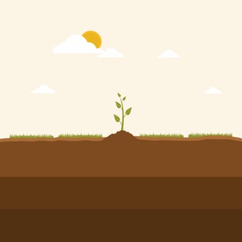 Little green sprout grows on the soil. Sprout in ground rising up on nature. Seedling gardening plant concept. Agriculture, ecology, environment cartoon flat vector design elements illustration