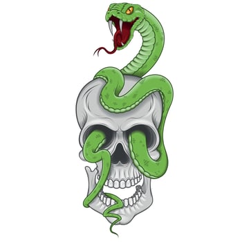 Vector design of skull with snake