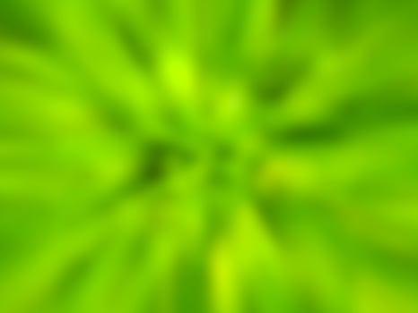 Green blurred background photo