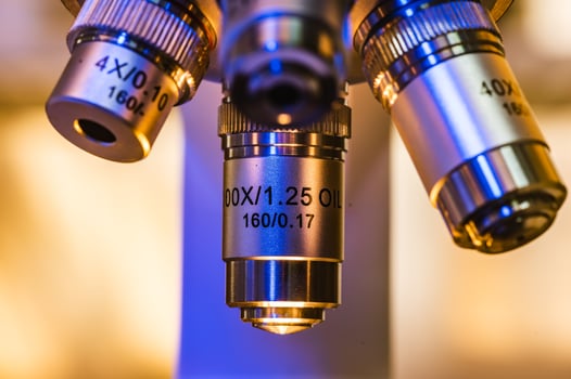 Close-up of a microscope photo
