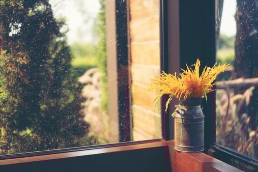 Dry flowers in a vase photo