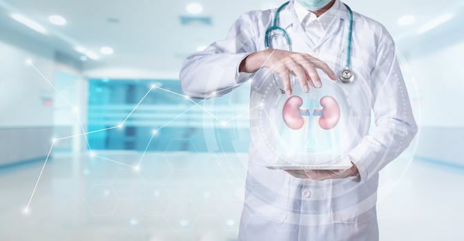 Kidney healthcare concept photo