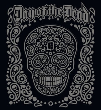 skull and paisley, vintage design t shirts vector