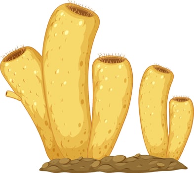 Diagram of sponges structure for biology education vector