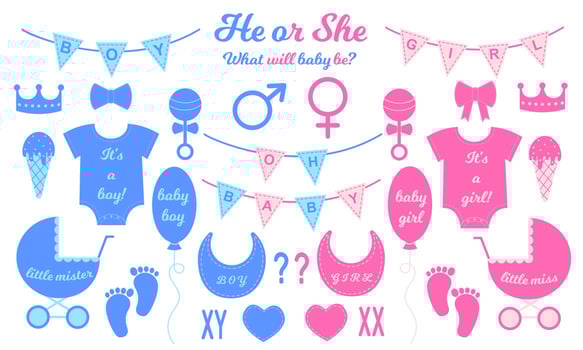 Gender reveal party set. Props for baby shower celebration. Boy or girl elements for greeting cards, invitations, banners vector