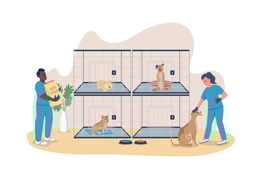 Veterinary care for dogs 2D vector web banner, poster