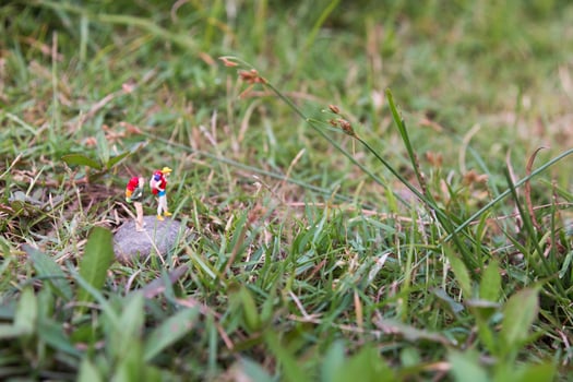 Miniature travelers with backpacks standing and walking in a meadow photo