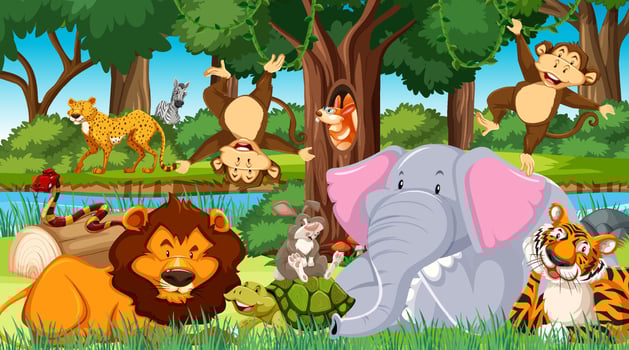 Wild animals in the jungle vector