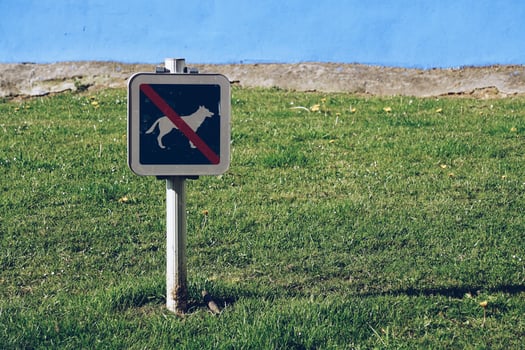 No dogs sign on the grass photo