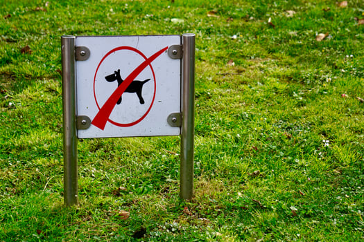 No dogs sign on the grass photo