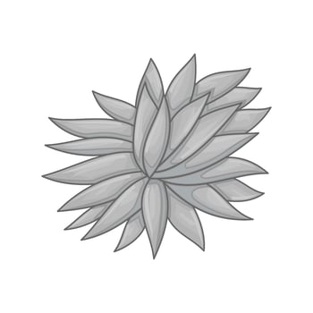 Vector floral botanical flower Illustration Color Ornament Grey