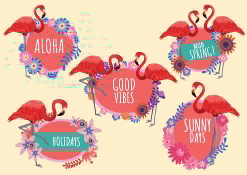 flamingo and flowers labels and text hello spring seasons vector