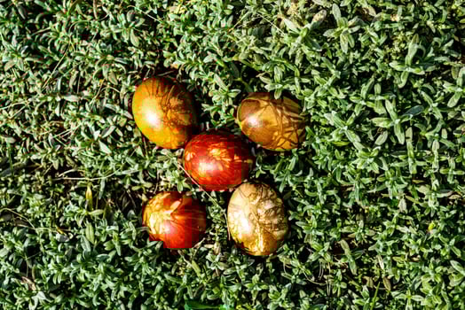 Multi-colored Easter eggs in green grass photo