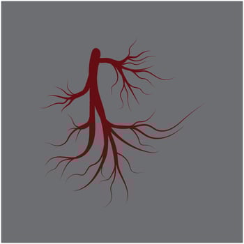 red human veins artery vector