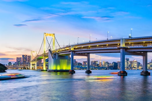 Panorama view of Tokyo skyline  in the evening. photo