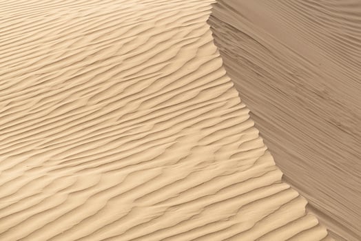 Beautiful sand dune in Thar desert, Jaisalmer, Rajasthan, India. photo