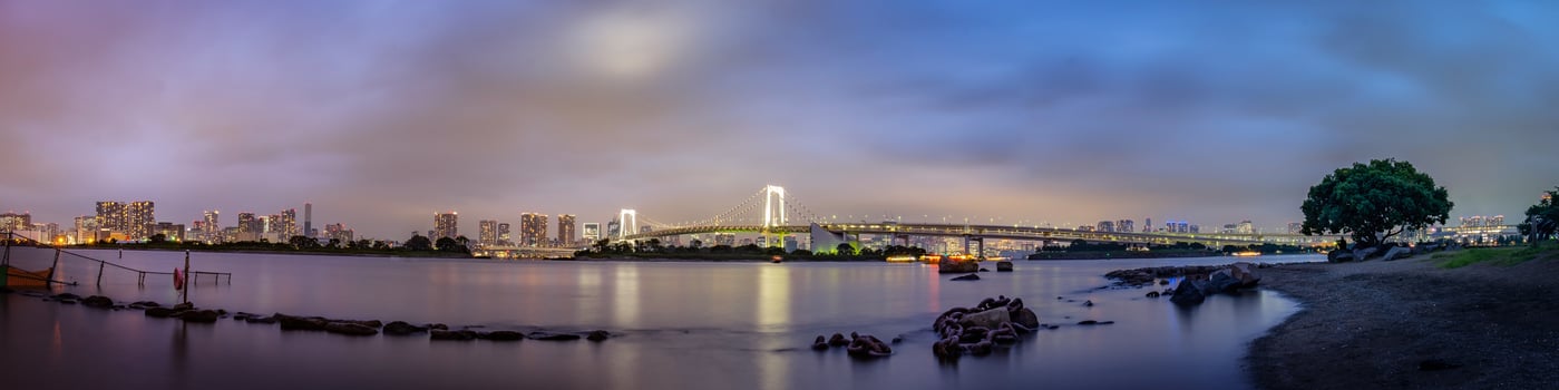 Panorama view of Tokyo skyline in the evening photo