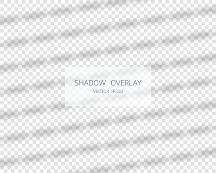 Shadow overlay effect. Natural shadows from window isolated on transparent background. Vector illustration.