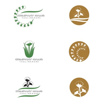Set Cotton Logo Template vector
