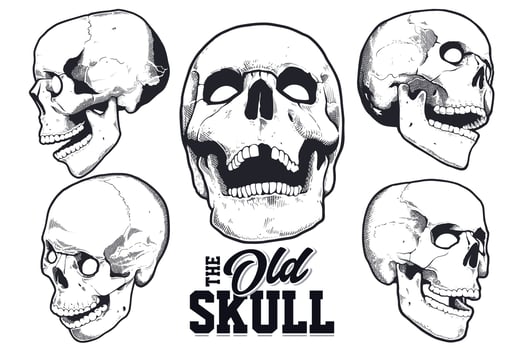 Engraving Style Skulls Vector Set