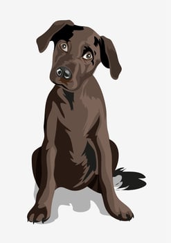 Cute black funny dog. Puppy. Black great dane. A beautiful black puppy with big eyes wags its tail and sitting on a ground. Isolated. vector