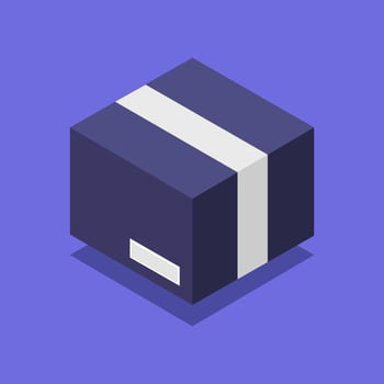 Isometric Box On White Background vector