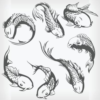 Silhouette Swimming Japanese Carp, Koi Fish, Stencil Vector Drawing