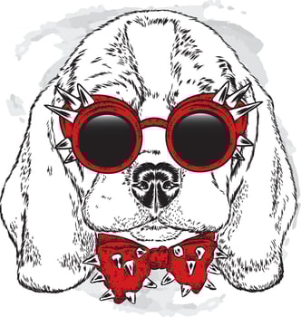 Beautiful dog with glasses and a tie. vector